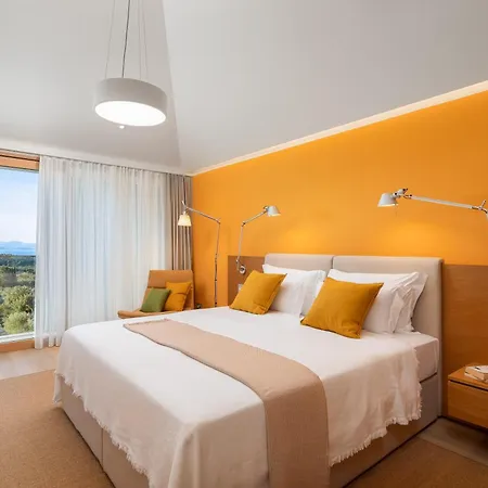 Spectacular Brac Adriatic 5 Bedrooms Stunning Sea Views Infinity Pool Private Gym Skrip Villa Supetar