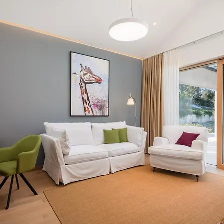 Villa Spectacular Brac Adriatic 5 Bedrooms Stunning Sea Views Infinity Pool Private Gym Skrip *